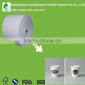 Disposable Paper Cup Paper thumbnail-1