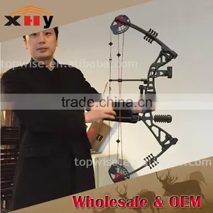 China Hunting Compound Bow 35-60lbs Draw Archery Bow for Sale thumbnail-1