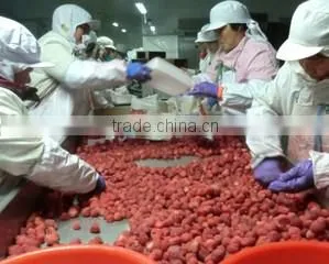 Qingdao Elites-United Foodstuff Co., Ltd. company overview - view 3 thumbnail