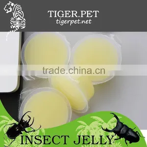 2015 New Products Assorted Mini Fruit Jelly thumbnail-1