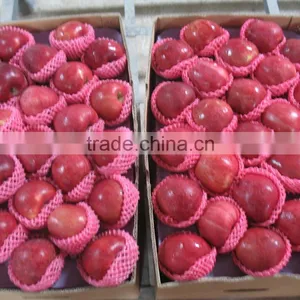2015 Crop Fresh Red Delicious Apple thumbnail-2