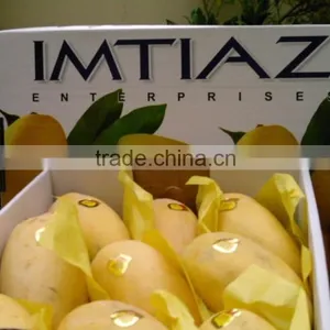 MANGO thumbnail-2