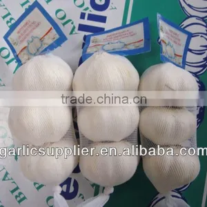 3p White Garlic 2013 thumbnail-1