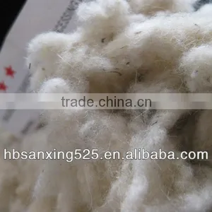 Chinese Wool Noil, 21.5mic, 20-40mm, Raw White Color, VM<5%,nice Quality thumbnail-3