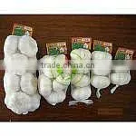 New Pure White Fresh Garlic thumbnail-1
