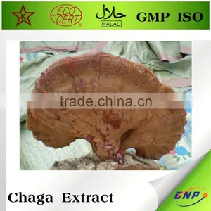 Wholesale Nutritional Supplement Chaga thumbnail-2