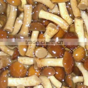 Nameko in Brine thumbnail-1