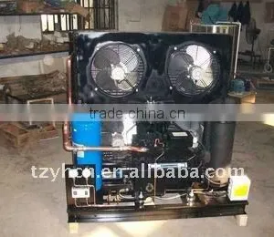 Copeland Air-cooled Condensing Unit for Cold Room thumbnail-1