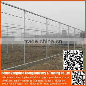 China Factory Hdpe Vegetable Insect Net , Nylon Fruit Anti Insect Net , Plastic Agricultural Greenhouse Anti Insect Proof Net thumbnail-1