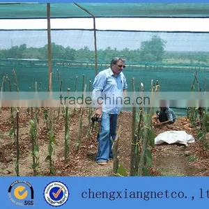 Green Shade Net for Agriculture on Sale With Low Price thumbnail-1