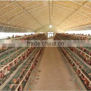 Fire Retardant Chicken Greenhouse ,chicken House ,fiberglass Chicken Shed thumbnail-1