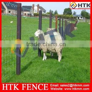 China Suppliers HTK Galvanised Hinge-lock Animal Fence thumbnail-1