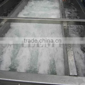 TW-307L Hot Sale Vegetable Washing Machine/ Fruit Washer/Vegetable Cleaning Machine thumbnail-6