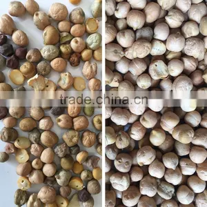 ZRWS Intellingent CCD Chickpea Color Sorter Machine thumbnail-2