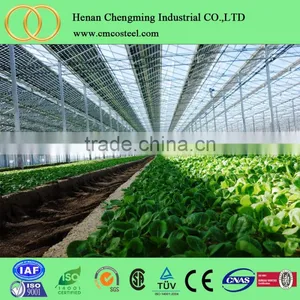 Garden Hydroponic Grow Tent/plastic Greenhouses Vegetables for Sale thumbnail-2