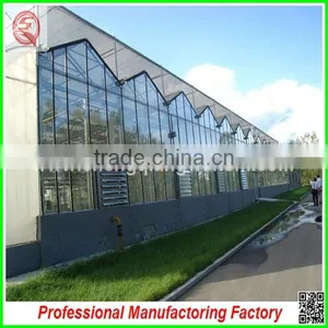 Hot Sale 9.6m Multi-span Agriculture Glass Greenhouse Grow Tent for Planting thumbnail-5