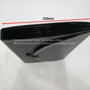 2017 New Design Modern Hot Selling A4 PP Foam Expanding File thumbnail-4