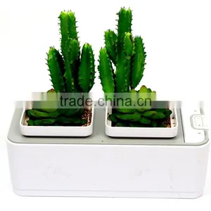 Automatic Mini Plastic Flower Planter thumbnail-3