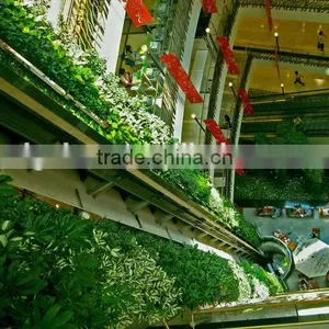Grass Wall Manufacturer Packing System Modular Green Wall thumbnail-5