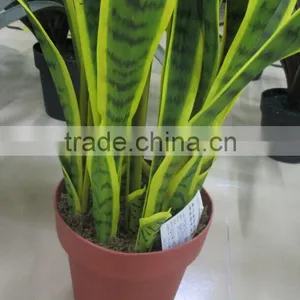 SJ GN 56 Artificial Sansevieria Plants thumbnail-5