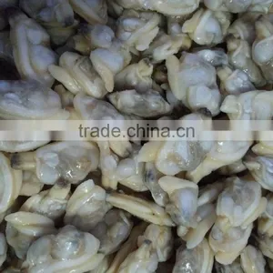 Frozen Clam Meat in Discount and Hot Sale thumbnail-1