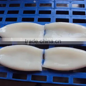 Frozen Tordarodes and Argentina Squid Tube U10,U7,U5 thumbnail-4