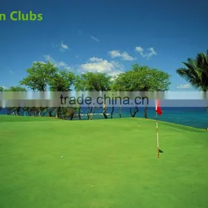 Wholesale Golf Shoes Waterproof Womens Golf Shoes Custom Designed for Golf for Promotion thumbnail-6