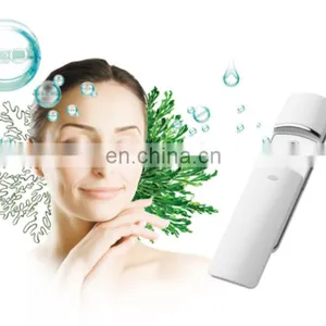 High Quality Skin Care Magic Product Portable Facial Steam Machine Nano Facial Handy Mist thumbnail-5