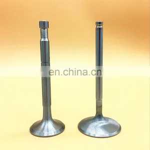 Low Friction Nitride Ferrea Intake and Exhaust Engine Valves for Fiat Peugeot Rally 106 1.6L 16 Valve TU5J4 Guides Seats Springs thumbnail-4