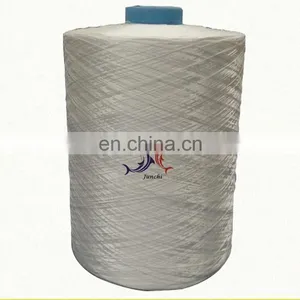 Good QUALITY/high Tenatcity 210D White Twisted Nylon 6 Twine thumbnail-5