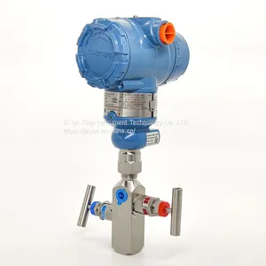 Rosemount 3051 Pressure Flow Transmitter (DP) Cost-effective Commissioning Differential Pressure Transmitter thumbnail-2