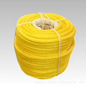 High Strength UHMWPE Rope 12 Strands Synthetic Braided Rope Sk75 Hmpe Rope for Sports EquipmentLDMAX-12 thumbnail-3