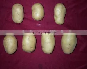 Farm Fresh Potato thumbnail-1