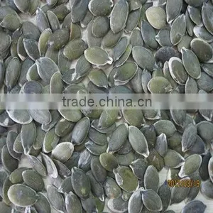 New Crop 2012 Chinese GWS Pumpkin Seed thumbnail-1