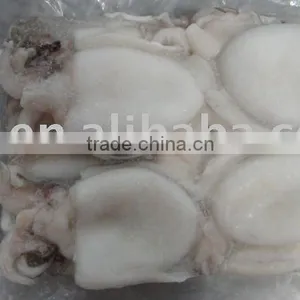 Cuttlefish thumbnail-1