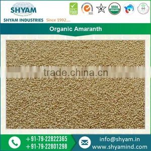 2016 New Market Product Amaranth Seeds From Reliable Supplier thumbnail-1