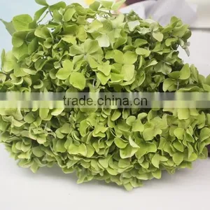 Fragrant Aroma Hot-sale Hydrangea Flower thumbnail-1