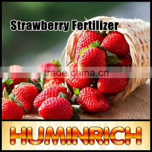 Huminrich Shenyang K Humic Acid With Fulvic Acid Micromix Fertilizer thumbnail-1