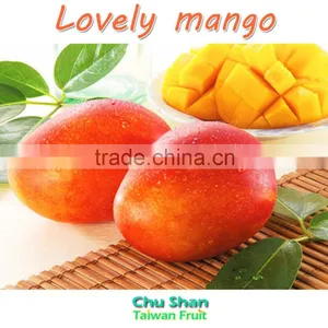 Hot Sale Fresh Mango (Grade AAA) thumbnail-6