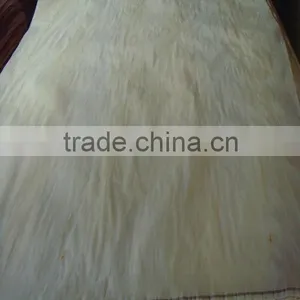 ROTARY CUT CHINA BIRCH WOO VENEER thumbnail-1