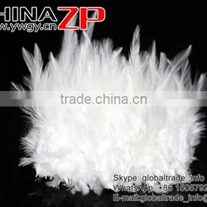 Leading Supplier CHINAZP Bulk Sale Good Quality Beautiful Bleached White Chicken Rooster Saddle Feathers thumbnail-4