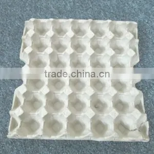 Egg Tray With Best Price thumbnail-1