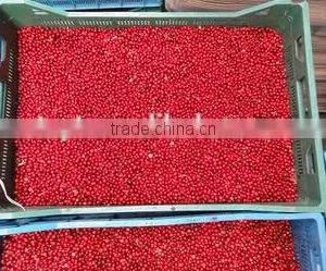 Frozen Lingonberry Asian Fruits Best Frozen Fruit thumbnail-2