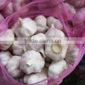 Chinese Garlic2015 Crop Hot Sale thumbnail-3