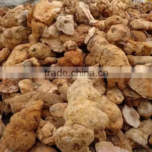 Smilax Root ( Chobchini, China Root) thumbnail-1