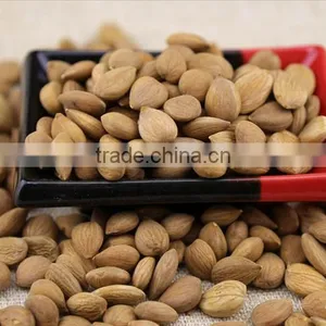 Wholesale Price of Organic Almond Nuts thumbnail-2