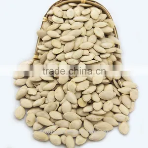 Wholesale Edible White Pumpkin Seed Price thumbnail-3
