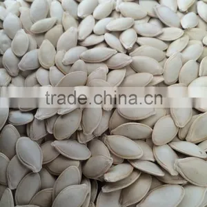 Shine Skin Pumkin Seeds 9-11mm With Good Price thumbnail-6