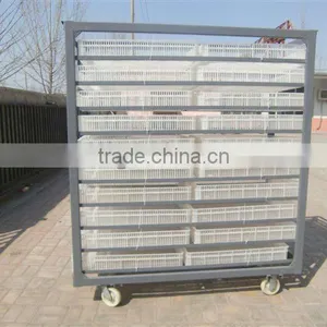 Incubator Egg Trolly and Hatcher Trolly thumbnail-1