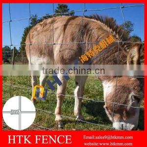 Hot Sale Hinge Joint Livestock Field Fence/Grassland Farm Fencing thumbnail-1